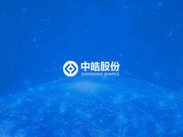 中皓科技股份有限公司:最新网站案例
